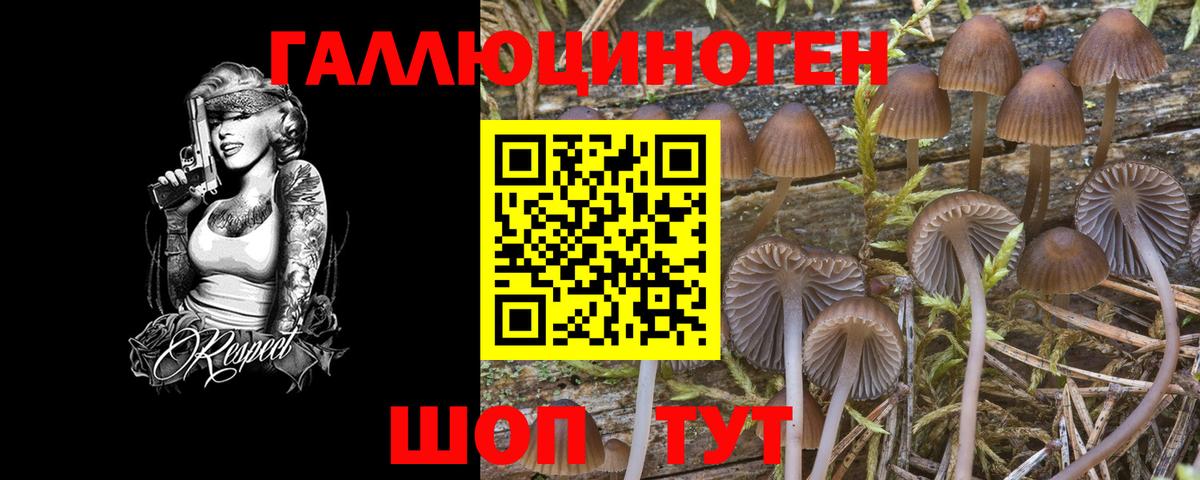 что такое наркотик  Вход с VPN  Жуковский  Псилоцибиновые грибы Magic Shrooms 